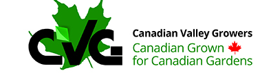 CVG-Canadian Valley Growers LTD.